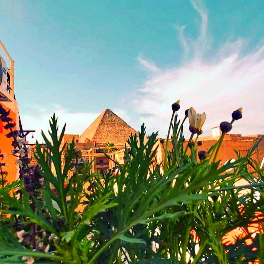 Carpet Alaadein Pyramids View 호텔 Kafret el-Gabal 외부 사진